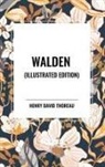 Henry D. Thoreau - Walden (Illustrated Edition)