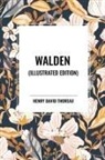 Henry D. Thoreau - Walden (Illustrated Edition)