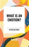 William James - What Is an Emotion?