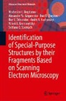 Viacheslav L Bogdanov, Viacheslav L. Bogdanov, Ch, Ihor B. Chepkov, Alexander Ya Grigorenko, Alexander Ya. Grigorenko... - Identification of Special-Purpose Structures by Their Fragments Based on Scanning Electron Microscopy
