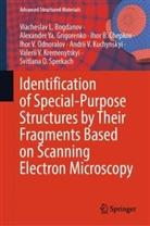 Viacheslav L Bogdanov, Viacheslav L. Bogdanov, Ch, Ihor B. Chepkov, Alexander Ya Grigorenko, Alexander Ya. Grigorenko... - Identification of Special-Purpose Structures by Their Fragments Based on Scanning Electron Microscopy