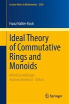 Franz Halter-Koch, Alfred Geroldinger, Reinhart, Andreas Reinhart - Ideal Theory of Commutative Rings and Monoids