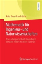 Anita Kloss-Brandstätter - Mathematik für Ingenieur- und Naturwissenschaften