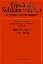Simon Gerber, Friederike Koch, Sarah Schmidt - Friedrich Schleiermacher: Kritische Gesamtausgabe. Briefwechsel und biographische Dokumente - Abteilung V. Band 17: Briefwechsel 1825-1828