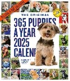 Workman Calendars, Workman Calendars - 365 Puppies-A-Year Picture-A-Day Wall Calendar 2025