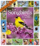 Workman Calendars, National Audubon Society, National Audubon Society, National Audubon Calendars Society, Workman Calendars - Audubon Songbirds and Other Backyard Birds Picture A Day Wall
