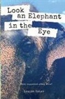 Louise Usher - Look an Elephant in the Eye