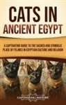 Captivating History - Cats in Ancient Egypt