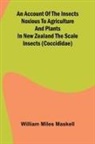 William Miles Maskell - An Account of the Insects Noxious to Agriculture and Plants in New Zealand The Scale Insects (Coccididae)