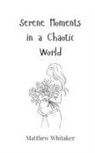 Matthew Whitaker - Serene Moments in a Chaotic World