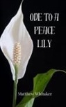 Matthew Whitaker - Ode to a Peace Lily