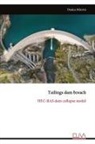 Dusica Mirovic - Tailings dam breach