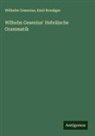 Wilhelm Gesenius, Emil Roediger - Wilhelm Gesenius' Hebräische Grammatik