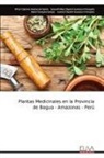 Víctor Cipriano Huanacuni Ajrota - Plantas Medicinales en la Provincia de Bagua - Amazonas - Perú