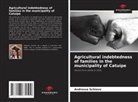 Andressa Schiavo - Agricultural indebtedness of families in the municipality of Catuípe