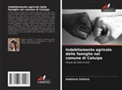 Andressa Schiavo - Indebitamento agricolo delle famiglie nel comune di Catuípe