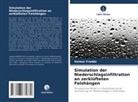 Valmor Freddo - Simulation der Niederschlagsinfiltration an zerklüfteten Felshängen