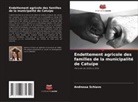 Andressa Schiavo - Endettement agricole des familles de la municipalité de Catuípe