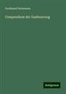 Ferdinand Steinmann - Compendium der Gasfeuerung