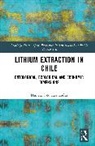Daniela Soto Hernández - Lithium Extraction in Chile