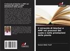 Sunusi Abdu Yusif - Il miracolo di biochar e AMF nei processi del suolo e nelle prestazioni delle piante