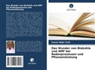 Sunusi Abdu Yusif - Das Wunder von Biokohle und AMF bei Bodenprozessen und Pflanzenleistung