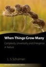 Lawrence Schulman, Lawrence (Professor of Physics Schulman - When Things Grow Many