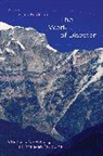 Aidan Seale-Feldman, Aidan Seale-Feldman - The Work of Disaster