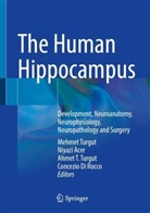 Niyazi Acer, Concezio Di Rocco, Ahmet T Turgut et al, Ahmet T. Turgut, Mehmet Turgut - The Human Hippocampus
