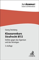 Georg Steinberg - Klausurenkurs Strafrecht BT/2