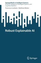 Francesco Leofante, Matthew Wicker - Robust Explainable AI
