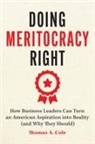 Thomas A. Cole, Thomas A Cole - Doing Meritocracy Right