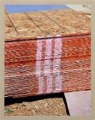 Ryan McIntosh and Yogan Muller: Tracy Hills