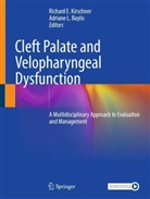 Adriane L. Baylis, Richard E Kirschner, Richard E. Kirschner, L Baylis - Cleft Palate and Velopharyngeal Dysfunction