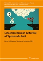 Hervé Delplanque, Stephanie Schwerter - L'incompréhension culturelle à l'épreuve du droit