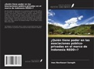 Ines Novitasari Saragih - ¿Quién tiene poder en las asociaciones público-privadas en el marco de Indonesia REDD+?