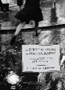 Henning Michelle, Michelle Henning - A Dirty History of Photography