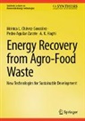 Pedro Aguilar-Zarate, Mónica L Chávez-González, Mónica L. Chávez-González, Ha, A. K. Haghi - Energy Recovery from Agro-Food Waste