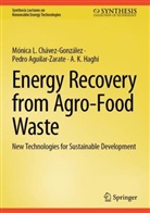 Pedro Aguilar-Zarate, Mónica L Chávez-González, Mónica L. Chávez-González, Ha, A. K. Haghi - Energy Recovery from Agro-Food Waste