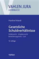 Günter Schwarz, Manfred Wandt - Gesetzliche Schuldverhältnisse