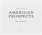 Joel Sternfeld - American Prospects