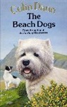 Colin Dann, Dann Colin - The Beach Dogs