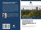Mauricio Tapia Vargas - Verstärkung mit Carbonfasern in Bildungsgebäuden in CDMX