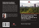 Mauricio Tapia Vargas - Renforcement de la fibre de carbone dans les bâtiments scolaires de la ville de Mexico