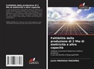 Justin MBARAGA MAKAMBA - Fattibilità della produzione di 2 Mw di elettricità e altre capacità