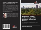 Mauricio Tapia Vargas - Rinforzo in fibra di carbonio negli edifici scolastici di Città del Messico
