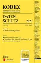 Michael Pachinger, Werner Doralt - KODEX Datenschutz 2025