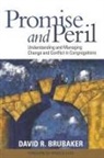 David Brubaker - PROMISE AND PERIL