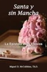 Miguel David McCubbins - Santa y sin Mancha