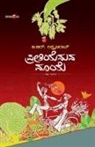 B. R. Lakshmana Rao - PREETHIYENUVA MAAYE (Kannada)